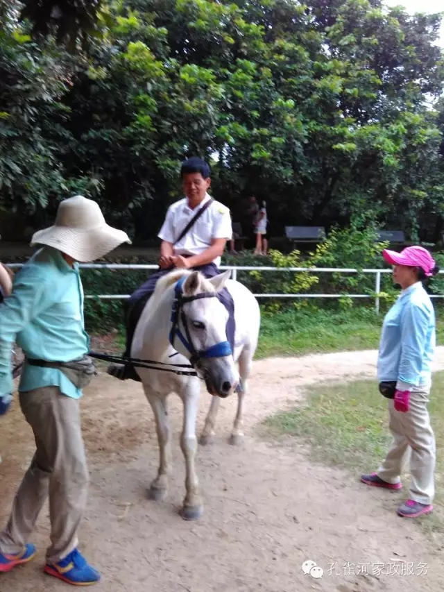 ���ҷ���׌��������á�2015��B�T�м�����(ji��)�����