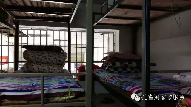 ��ȸ�Ӽ�����ķ������ů��ů��������