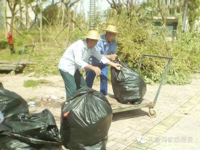 ��������y���������