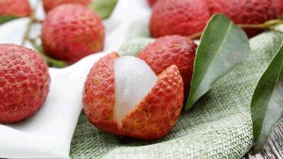 ��֦����һ���@��������ȸ����ɩ��Ӗ(x��n)���f��